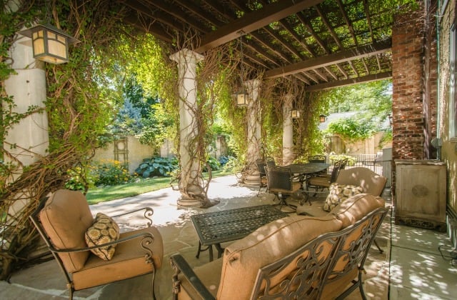 backyard 640x420