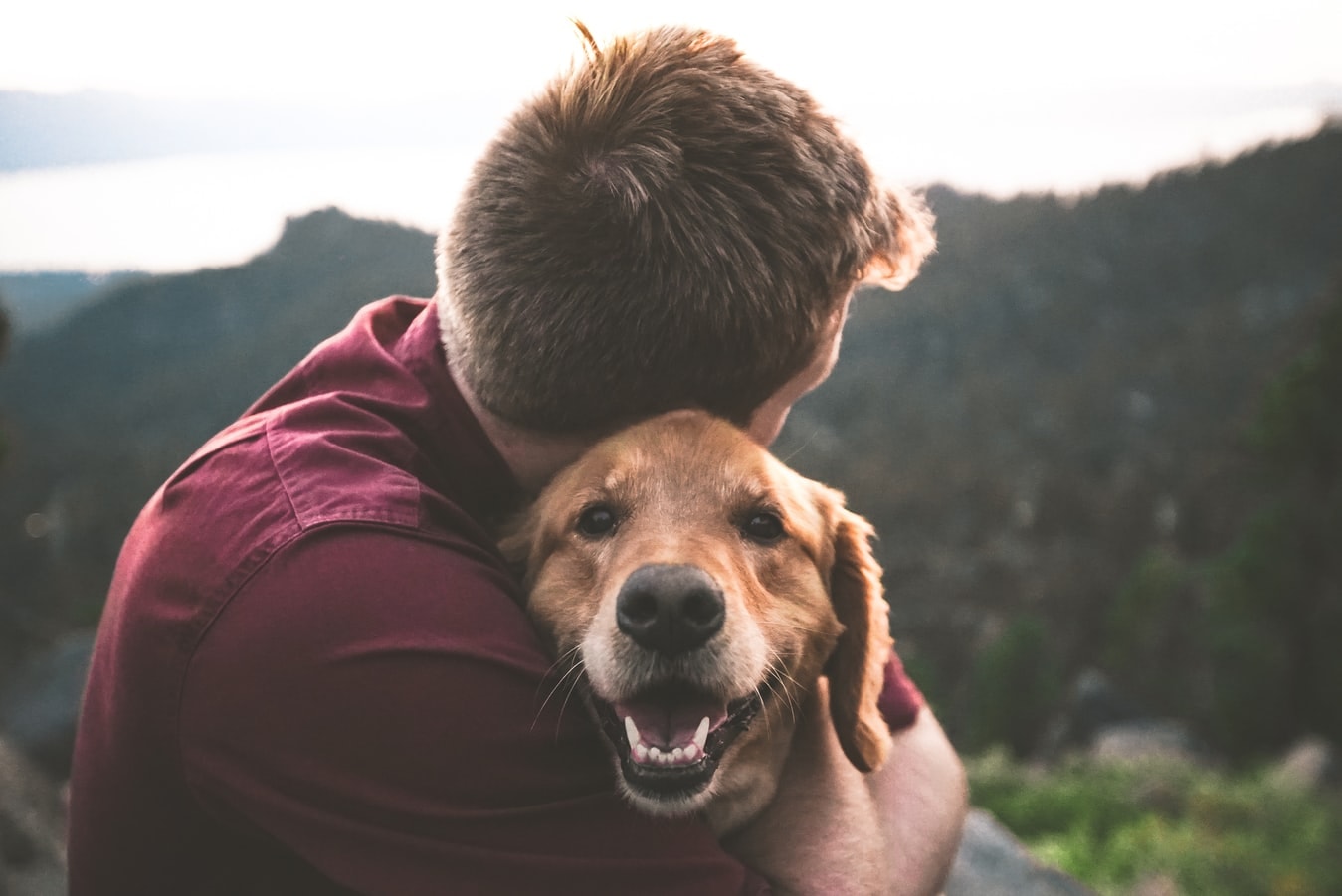man hugging a golden retriever