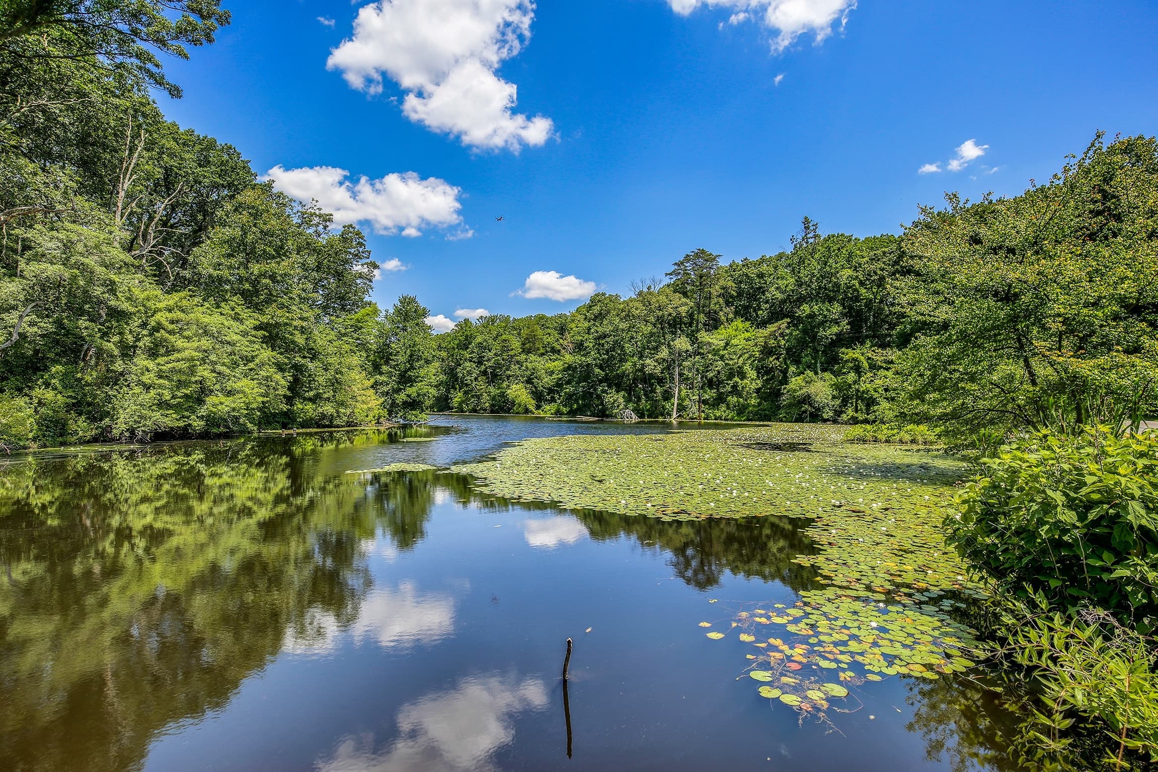 Maryland