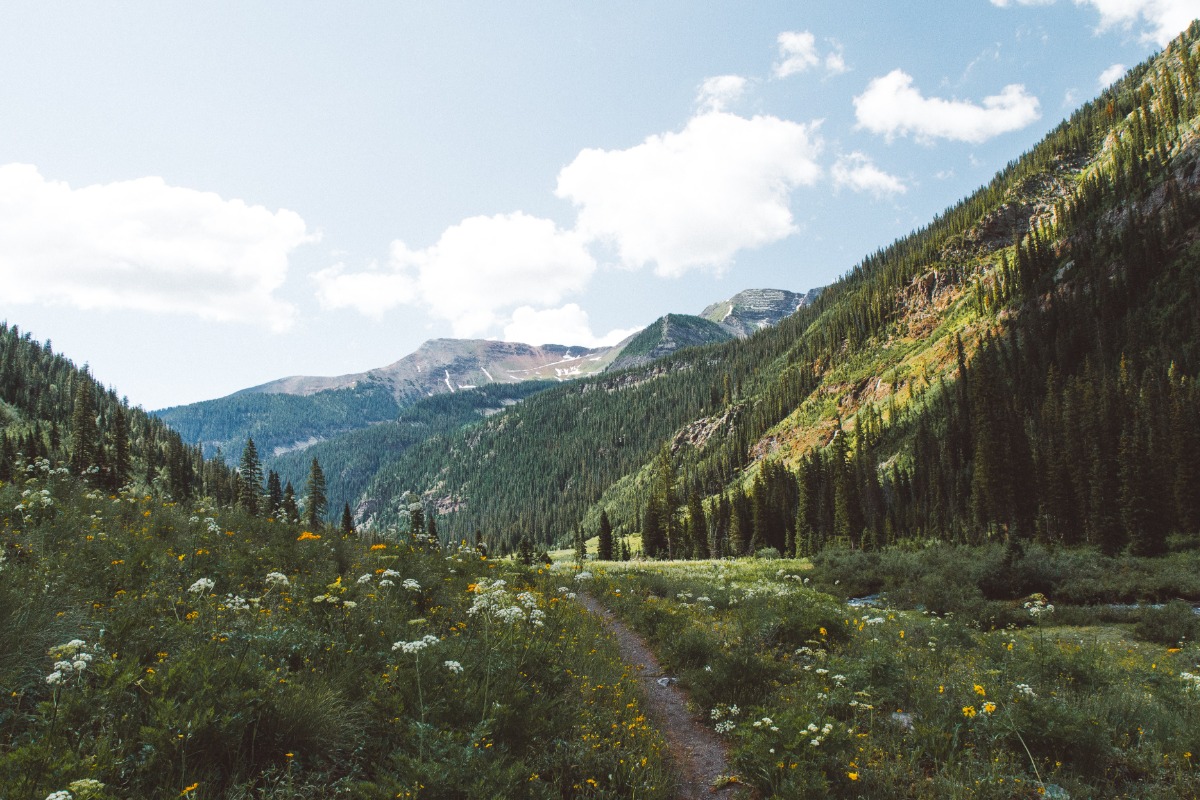 A mountain trail