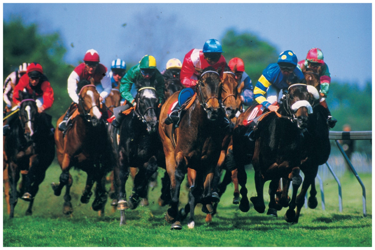 Horse racing