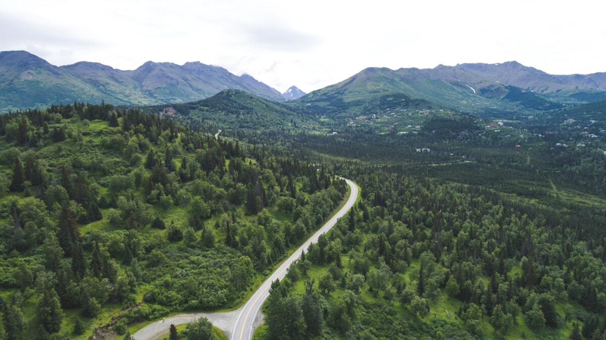 Aerial view of Alaskan highway and forest