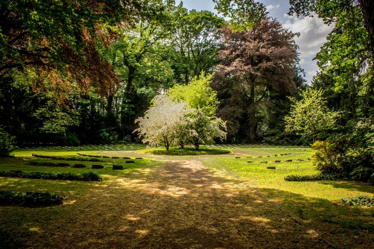 botanical outdoor garden