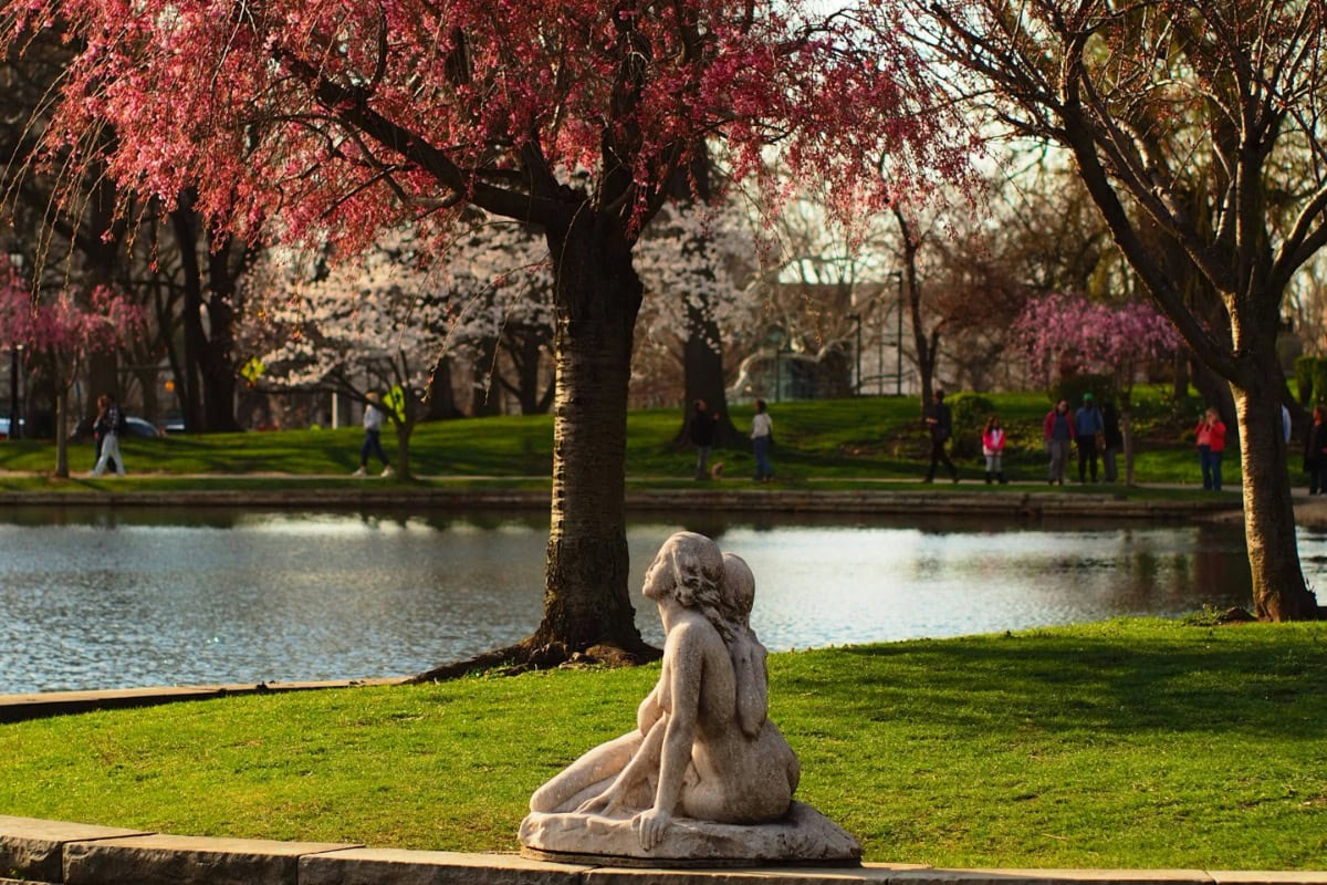 view of beautiful garden