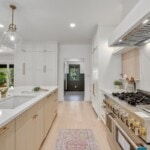 sleek gourmet kitchen